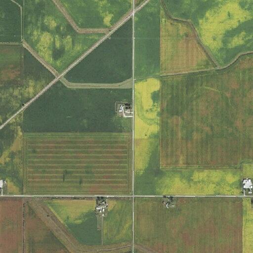 person needing assistance to stand near Gibson City