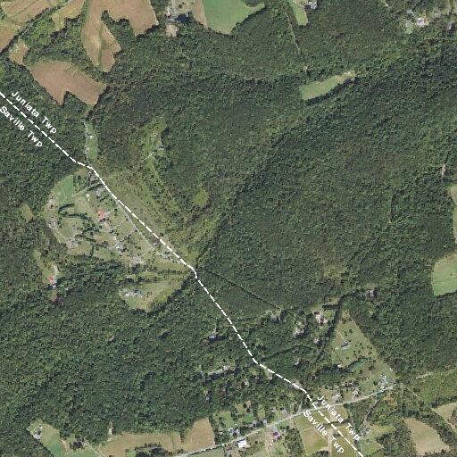 Tree partially blocking road at Longview Drive