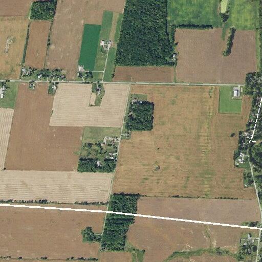 Person needing help to stand at Prospect Marysville Road