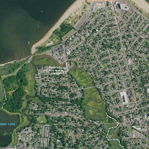 Person with respiratory issue near Central Avenue