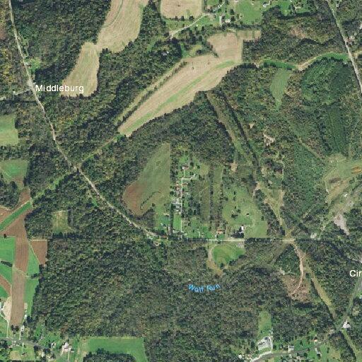 Elderly woman with general weakness near State Route 43