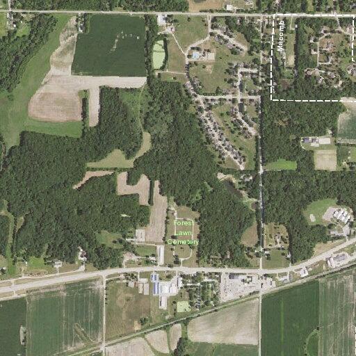 Man fallen and confused near Macomb highway