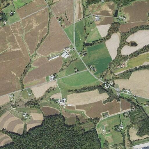 Elderly woman with infected arm wound possibly septic