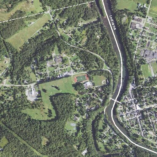 Tree blocking roadway on Route 981 near Saltsburg