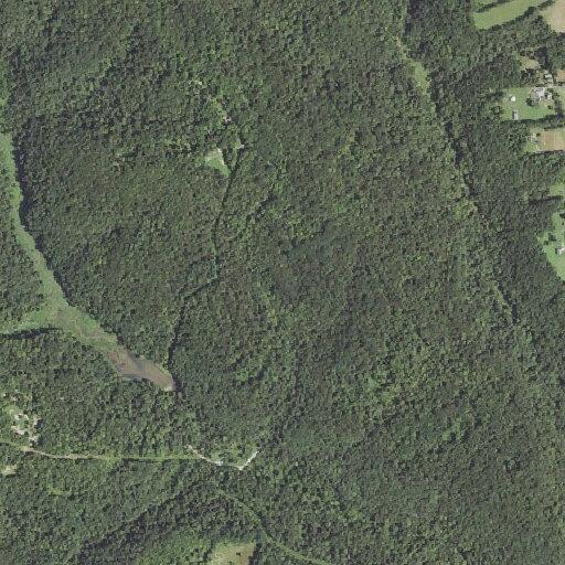 Woman reports lost cell phone at state park
