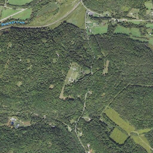 Male with vomiting and diarrhea near Tunnellton Road