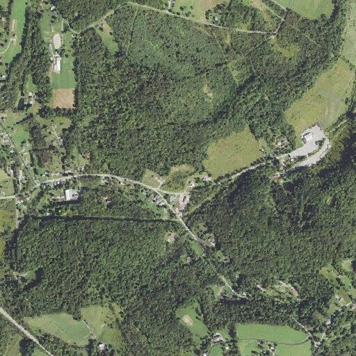Tree blocking roadway on Beaver Run Road