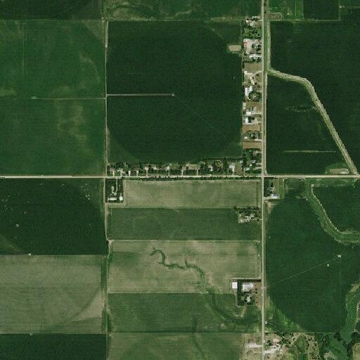 Person bitten by cat outside Hastings city limits