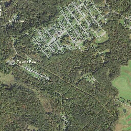 Tree blocking roadway on Zimmerman Road