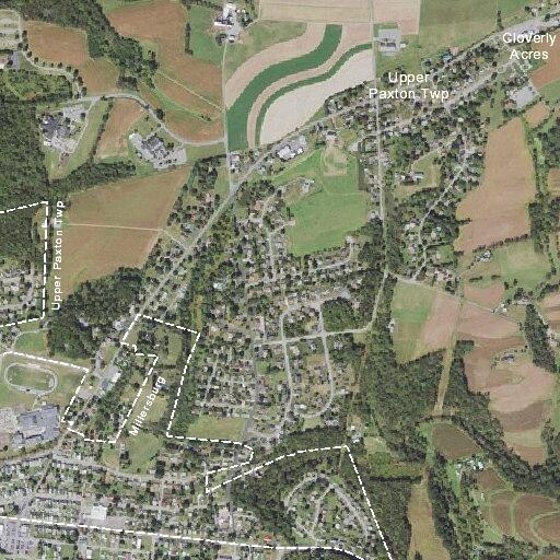 Person reported sick near Nelson Terrace in Cornell