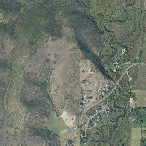 Large tree hazard on North River Road
