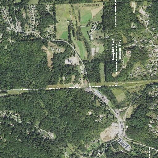 Elderly woman falls and hits head at Harts Run Rd