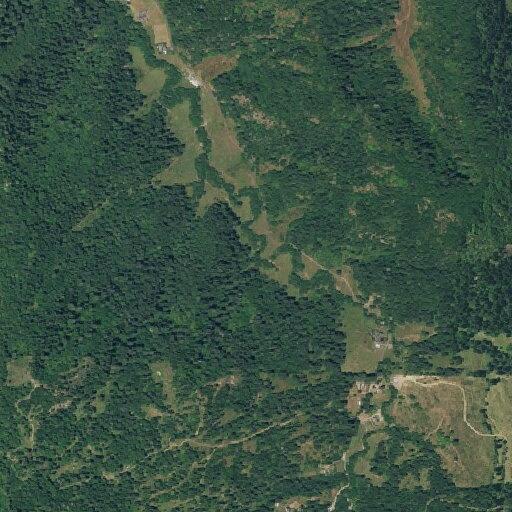 Woman with stomach issues near Williams Creek Road in Ferndale