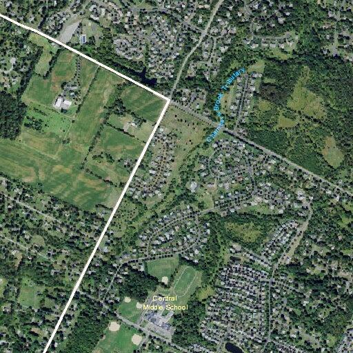 Illegal dumping reported on Natures Lane