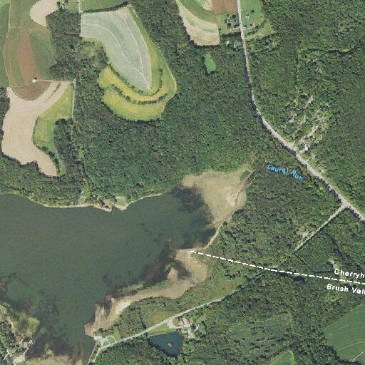 Loose cow reported on Route 259