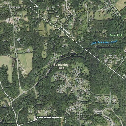 Tree on power lines blocks both lanes of road