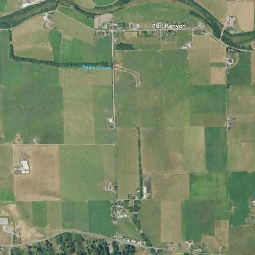 Male with head injury after backyard fall near Ferndale