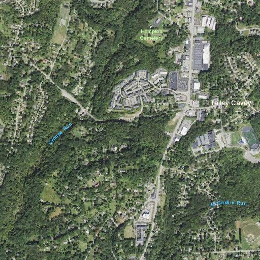86-year-old woman with abdominal pain at Mt Royal Blvd