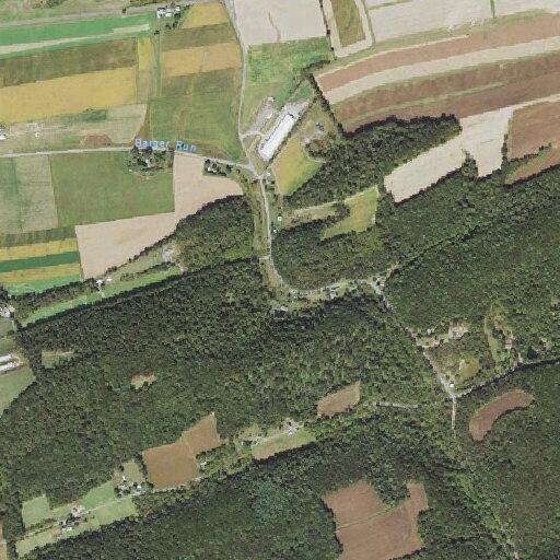 Auto crash reported on Toad Hollow Road