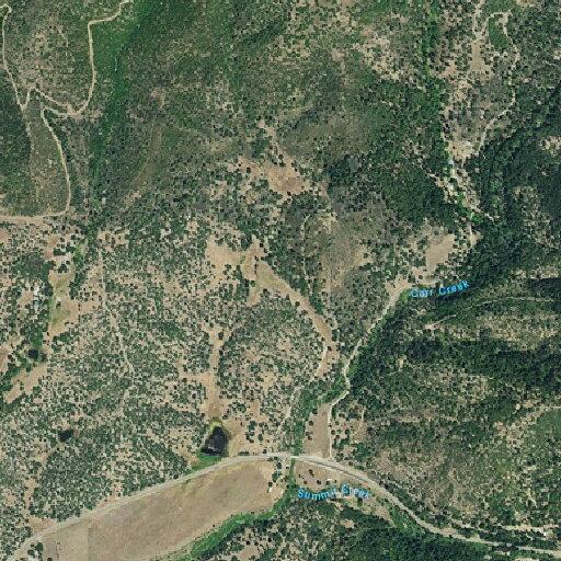 Tree cleared from northbound Highway 3