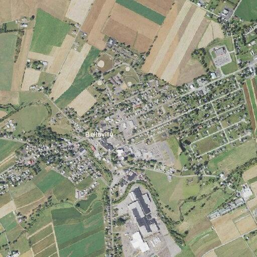 74-year-old man weak and near-fainting at sale barn