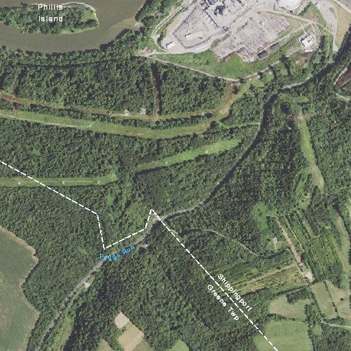 20-year-old female has diabetic emergency in Greene Township