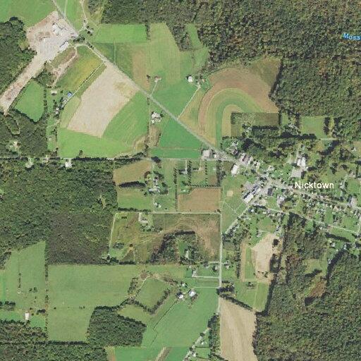 Obvious death reported near Blue Goose Road in Barr Township