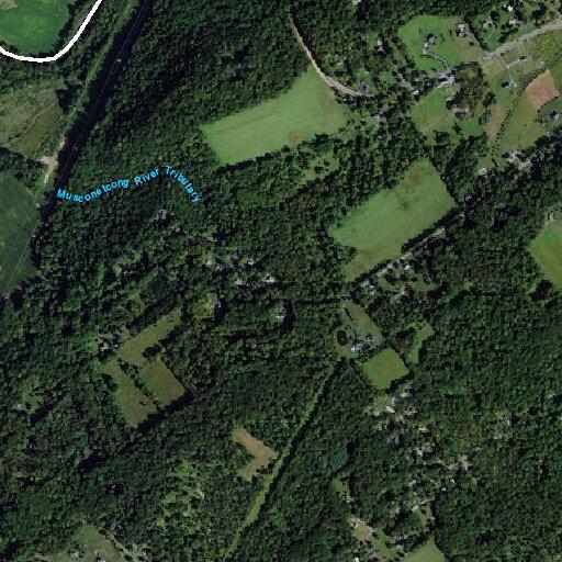 Tree partially blocking road on Bellis Road