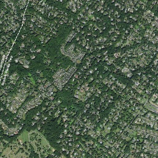 Deer carcass reported off road in Scotch Plains