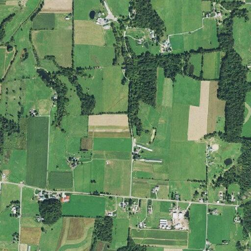 Female unconscious from bee sting allergy at Co Rd 160