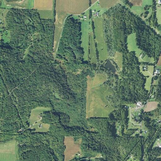 Person reported with chest pains in Sandy Township