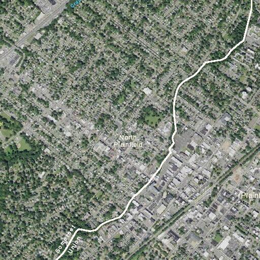 Loose dog reported on West Second Street