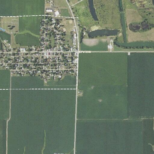 Two dogs lying in ditch near East County 27 Highway