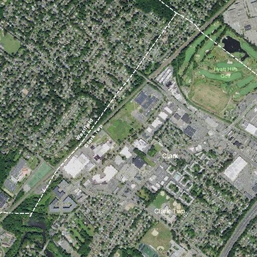 Injured deer with arrow reported on parkway