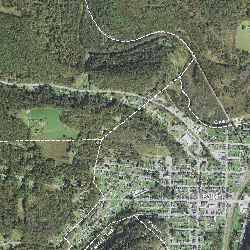 Person reported sick near Palmer Avenue, Patton