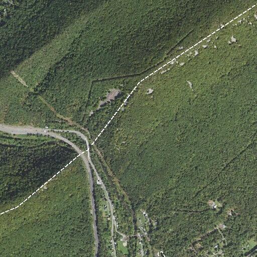 Senior female falls while walking dog in woods near Sawmill Road