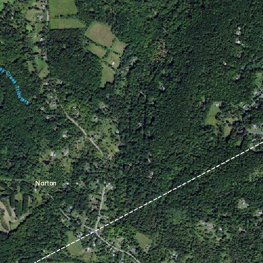 78-year-old woman with knee pain at County Road 635