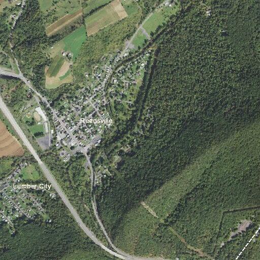 Tree down narrows traffic to one lane on Station Hill