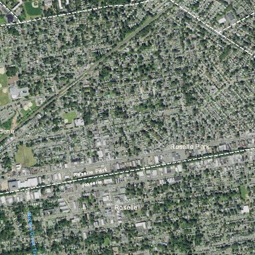 Woman with breathing problems near Chestnut Street Roselle Park