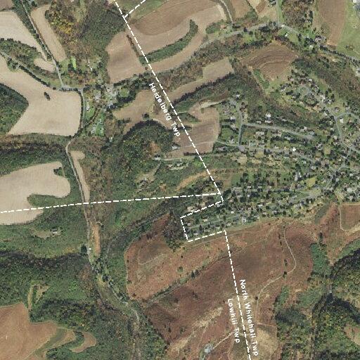 Female fallen near Bryan's Trail in North Whitehall Township