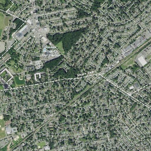 Elderly woman faints twice near Cherry Street, Roselle Park