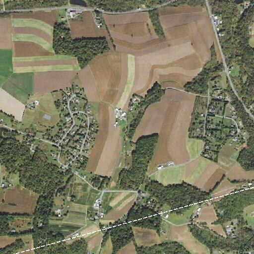 Person requires basic life support at Berry Farm