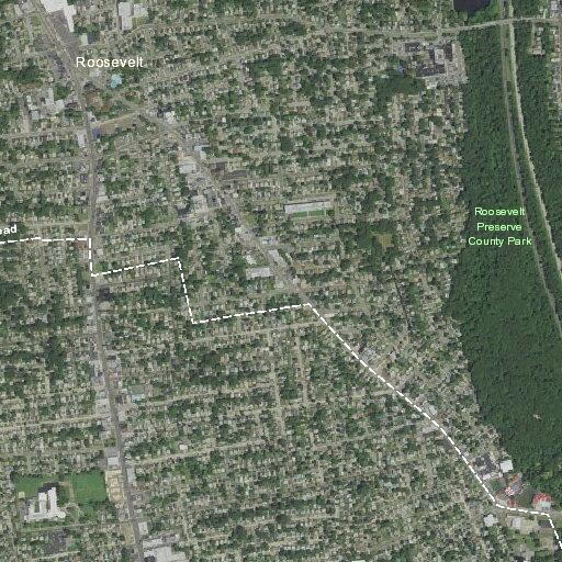 Person having difficulty breathing near Carroll Street, Roosevelt