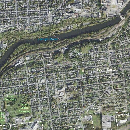 Elderly woman suffers back pain at Belmont Ave