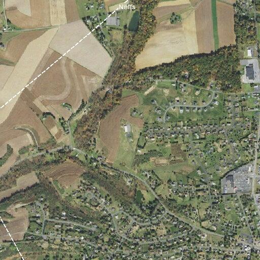 Utility line down on Hilton Street property