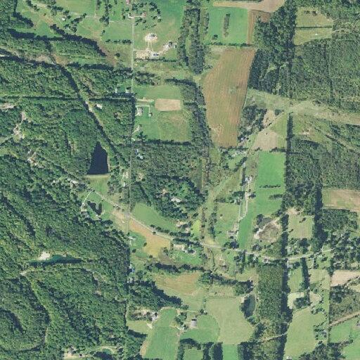 Person suffering allergic reaction near East Sparta