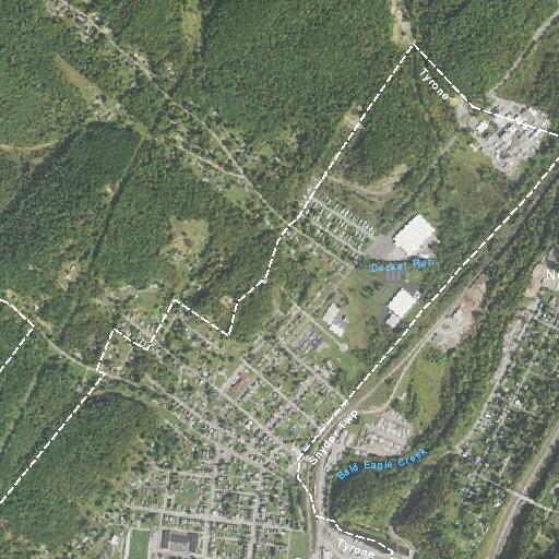 Loose dogs reported near Hamilton Avenue church