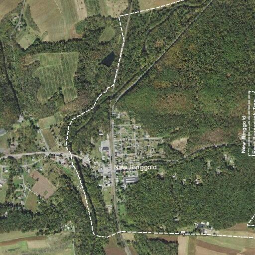 Car hits signs and leaves roadway in New Ringgold