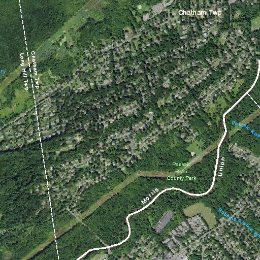 Woman urinating in roadway near school