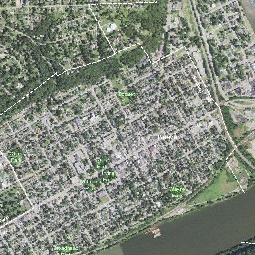 Tree fire reported at Bailey Park residence